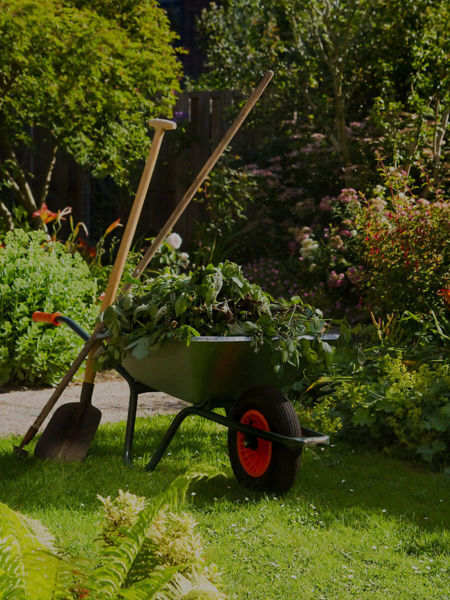 Residential and commercial garden maintenance services