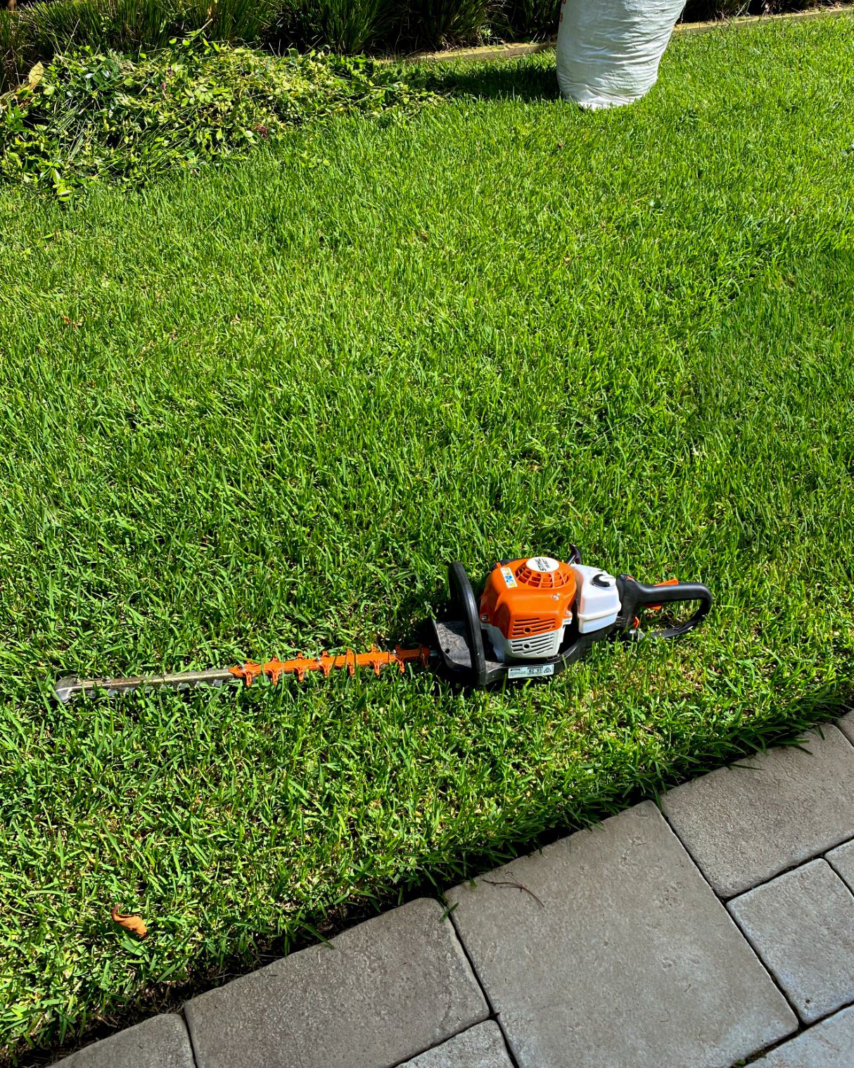 Importance of professional garden maintenance