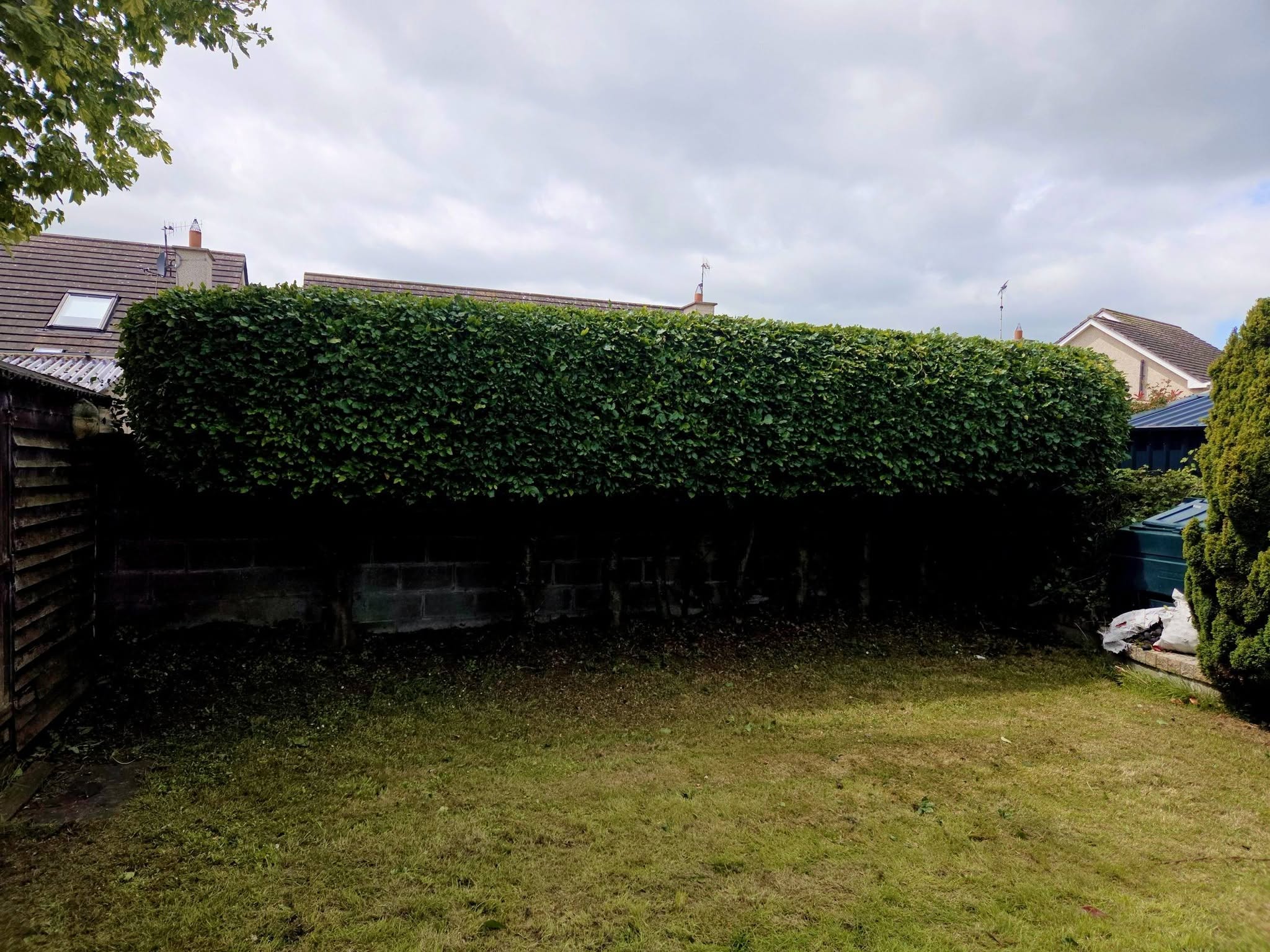 Regular garden maintenance and lawn care in Dublin