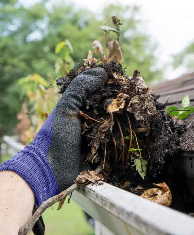 Professional gutter cleaning services in Dublin