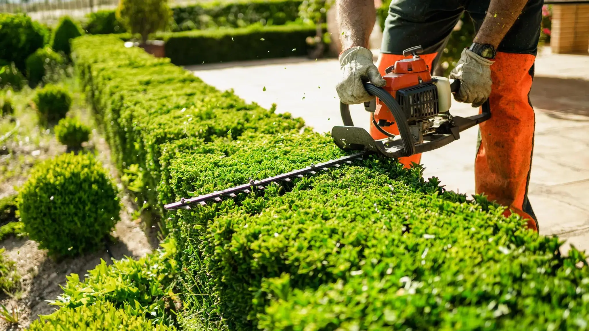 Oakview Tree & Garden Care serving Dublin