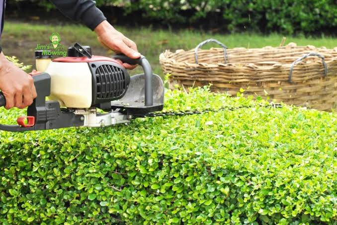 Residential and commercial hedge trimming services