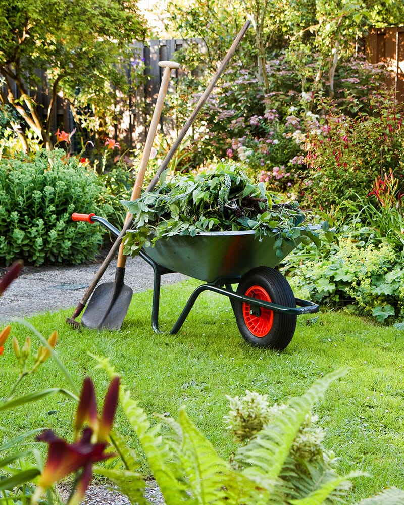 Professional garden maintenance services in Dublin